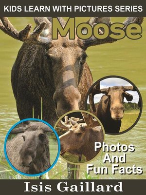 cover image of Moose Photos and Fun Facts for Kids